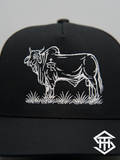 THS "Brahmer Tamer" Black Flatbill Snapback