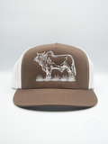 THS "Brahmer Tamer" Brown / White Flatbill Snapback