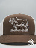 THS "Brahmer Tamer" Brown / White Flatbill Snapback