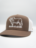 THS "Brahmer Tamer" Brown / White Flatbill Snapback