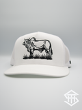 THS "Brahmer Tamer" White Flatbill Snapback