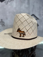 Armendáriz Cattle Co. Brown Color way Woven Donkey Patch