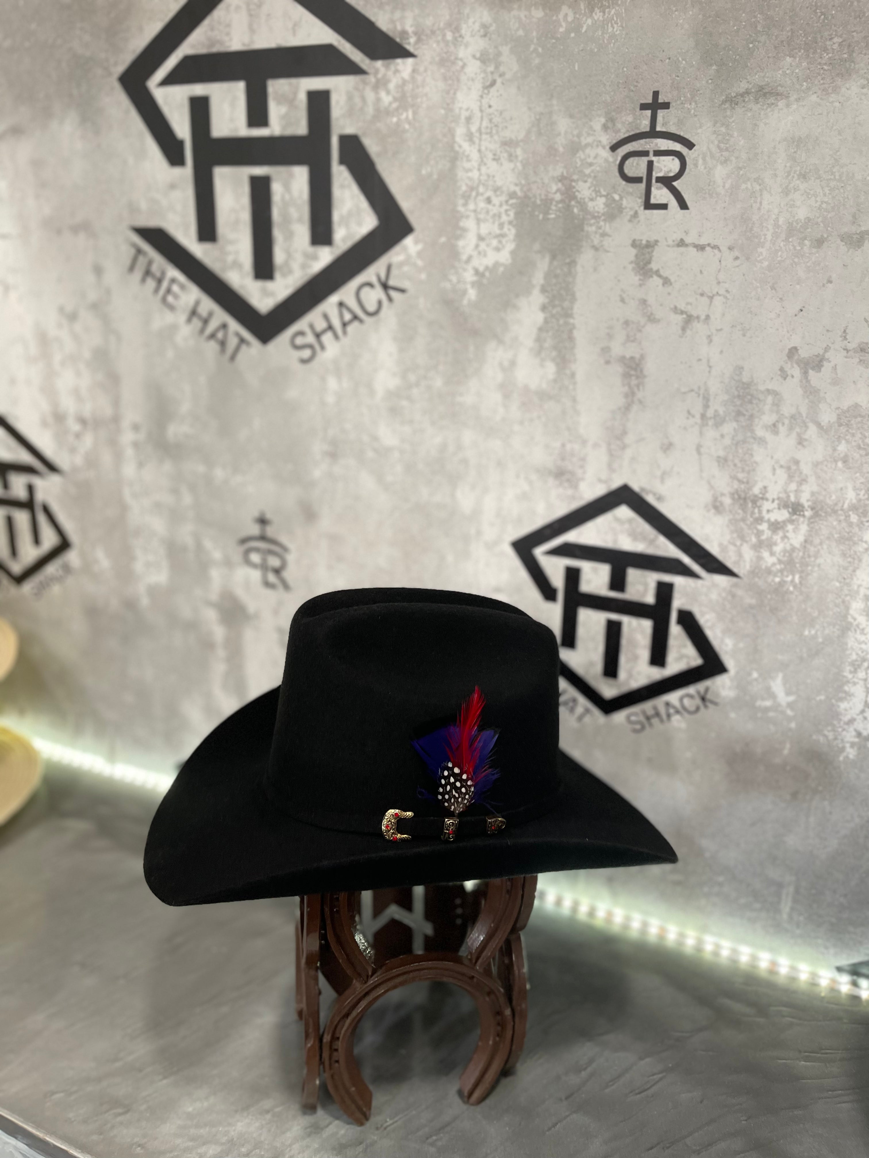 Colored Hat Feathers