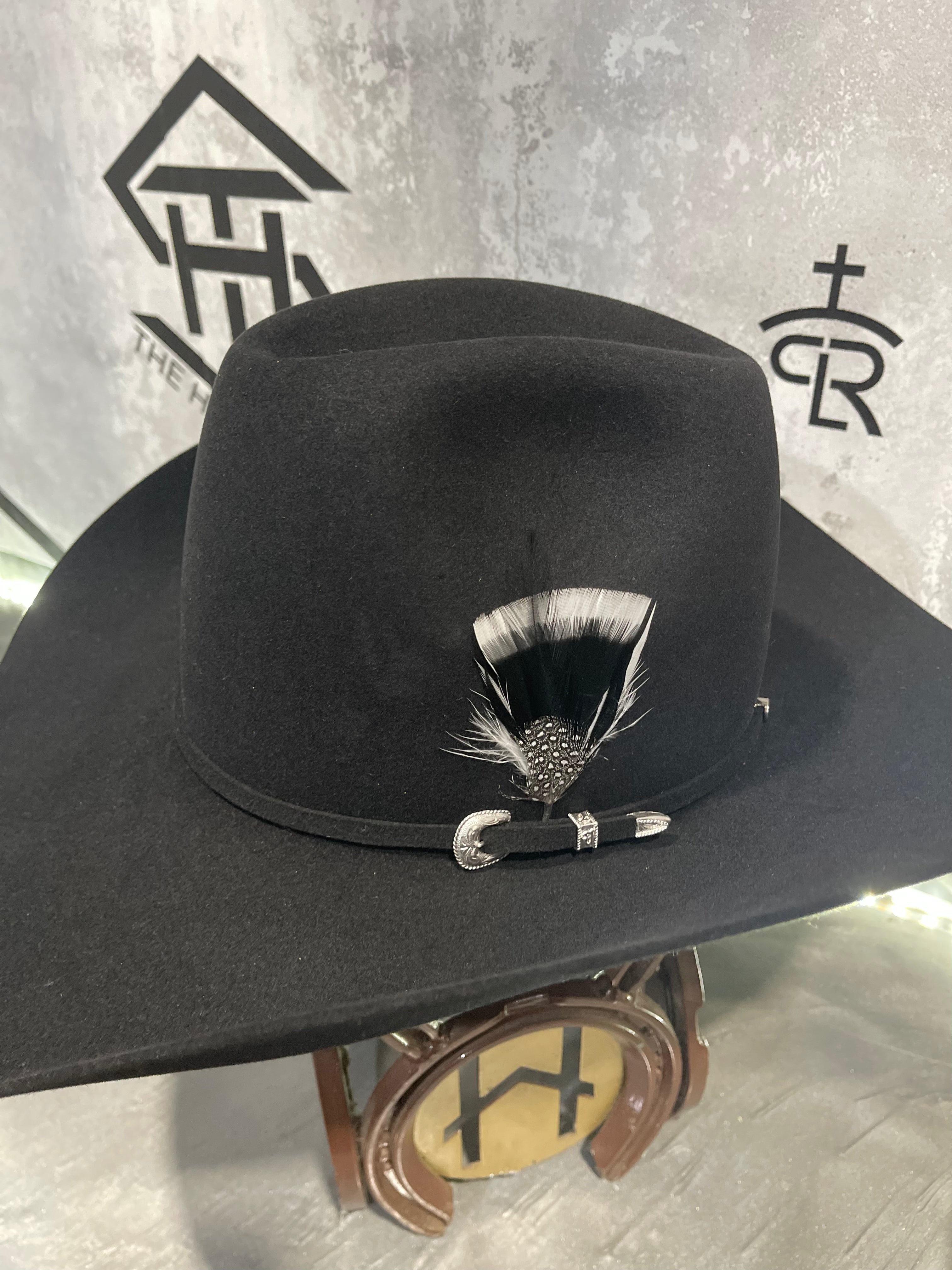 Colored Hat Feathers