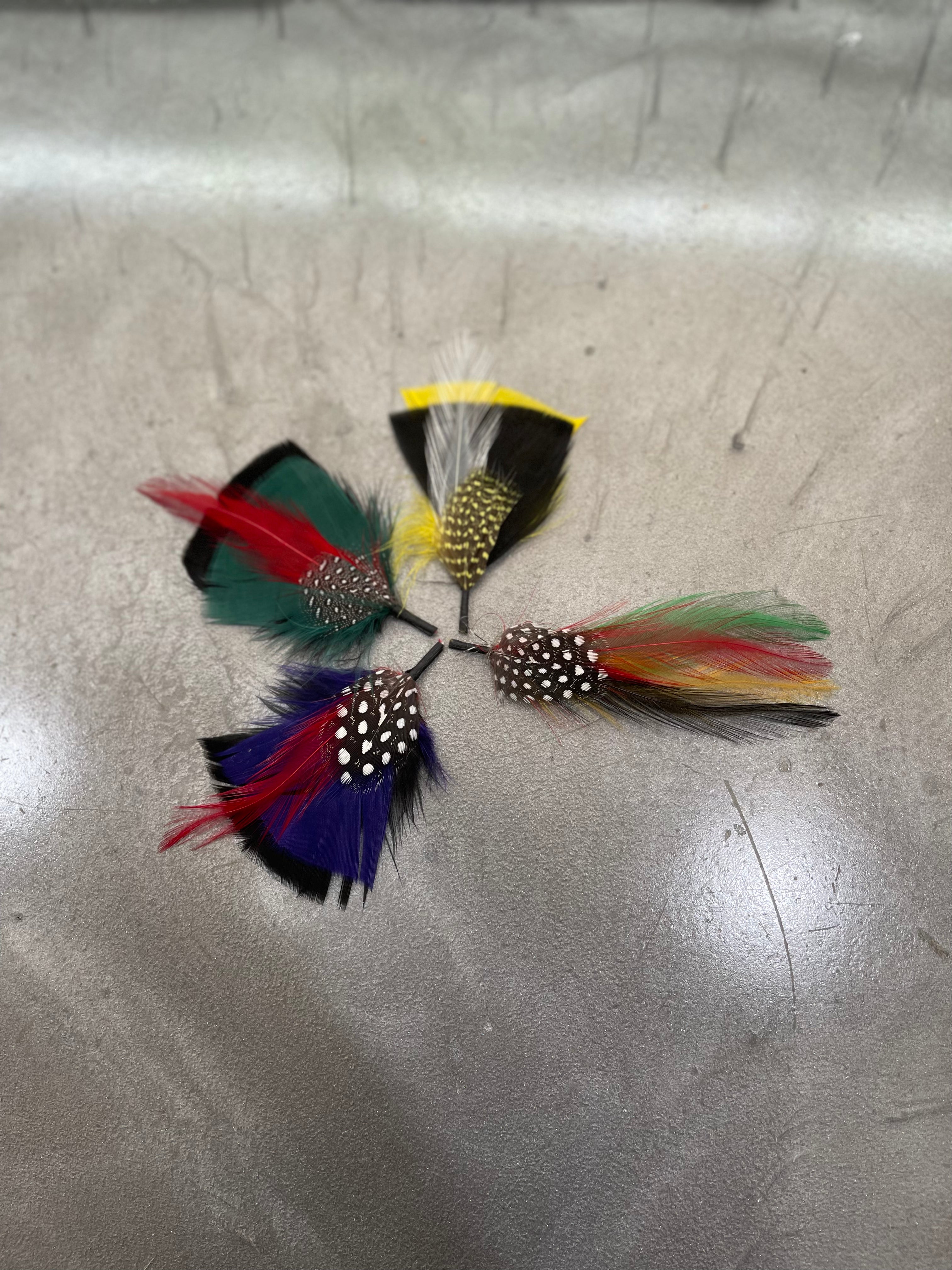 Colored Hat Feathers