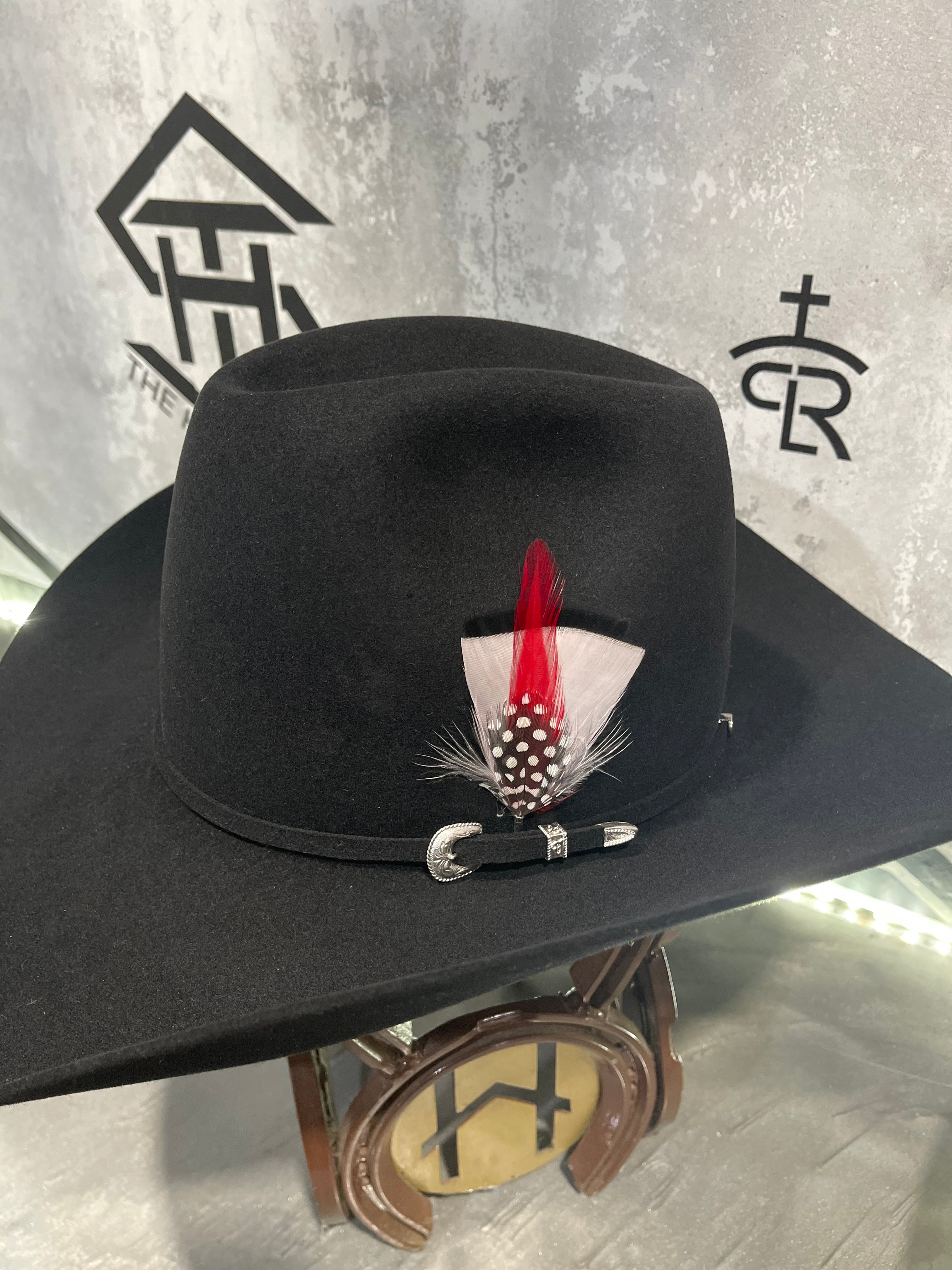 Colored Hat Feathers