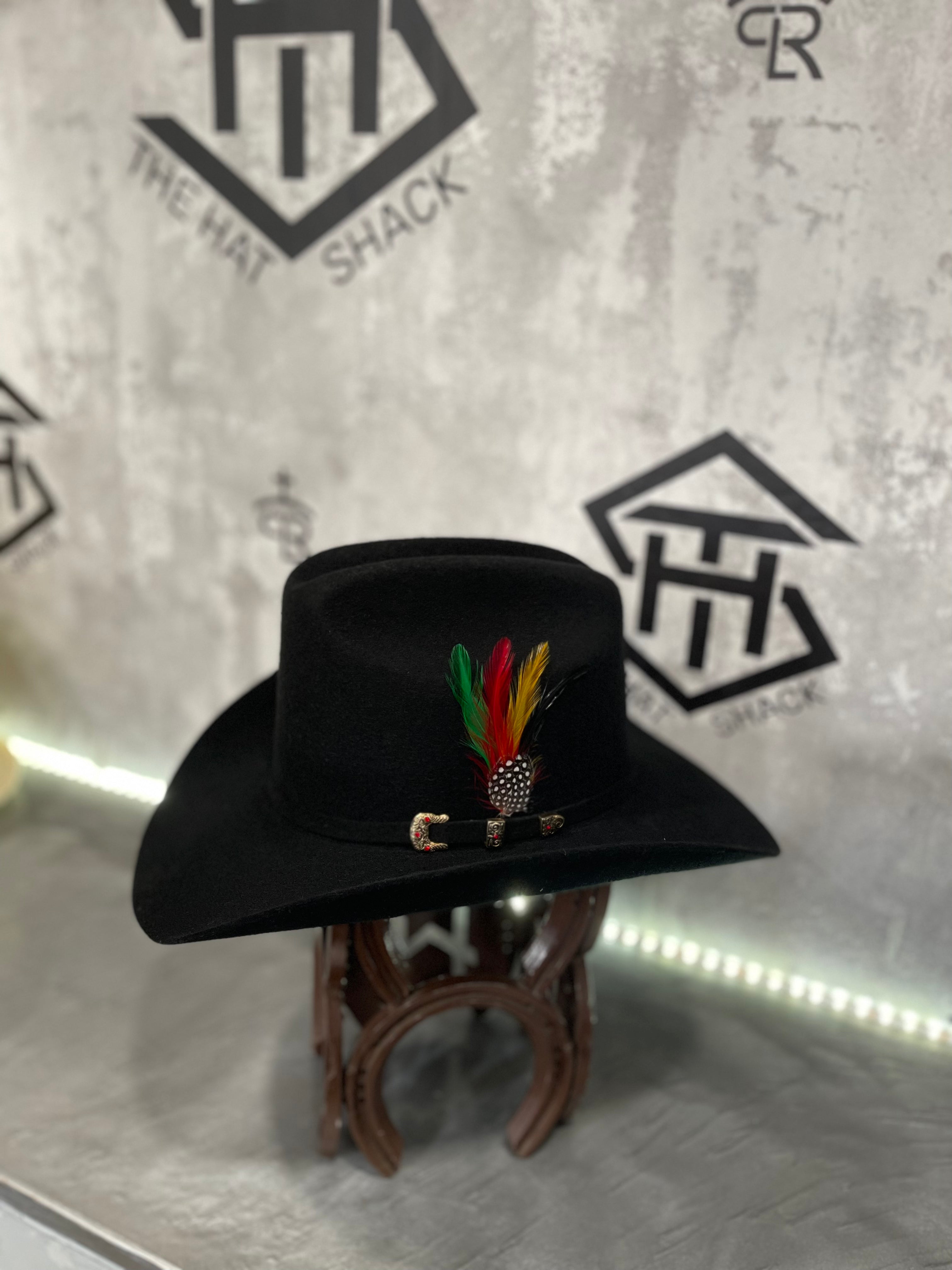 Colored Hat Feathers