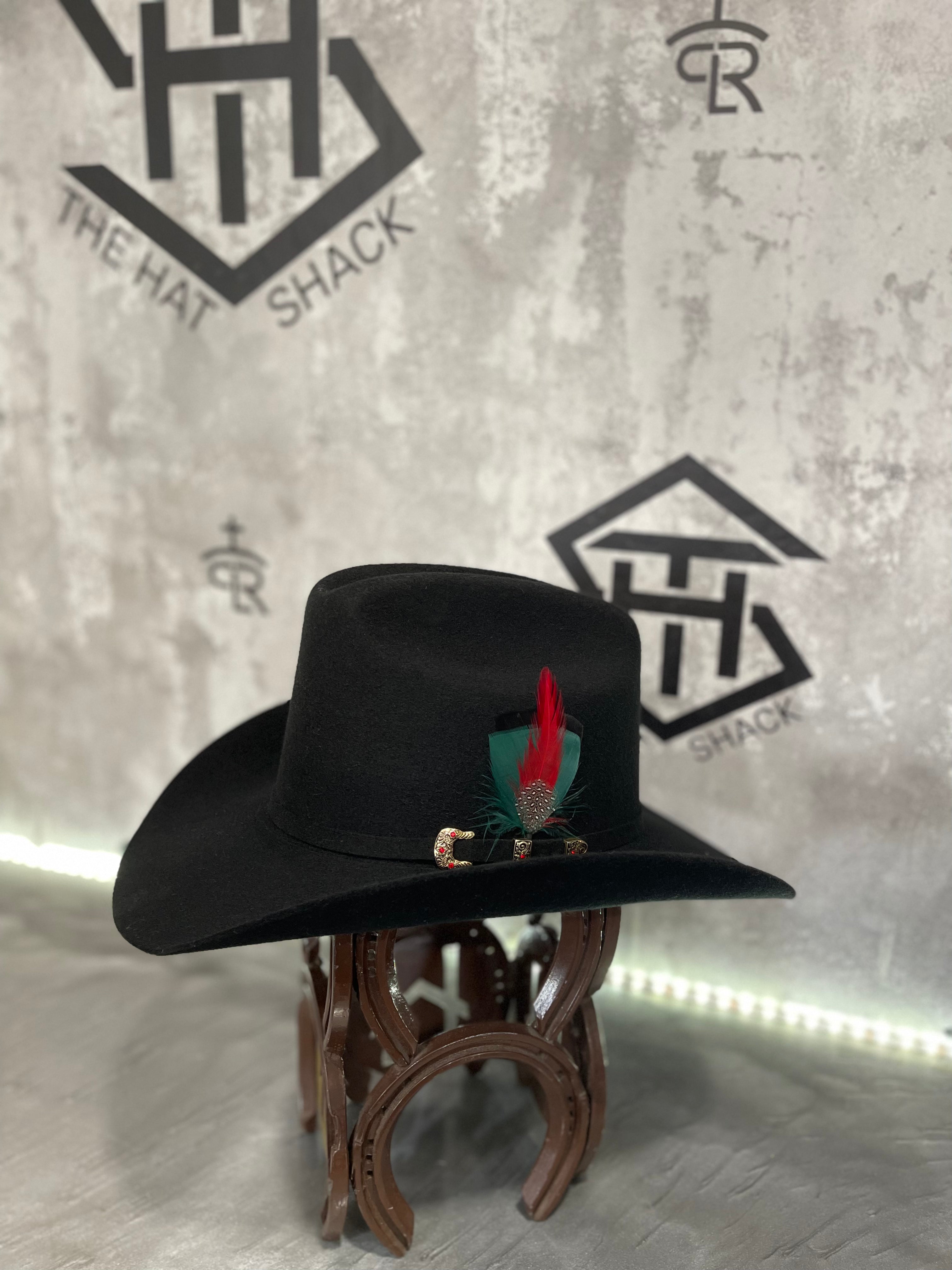 Colored Hat Feathers