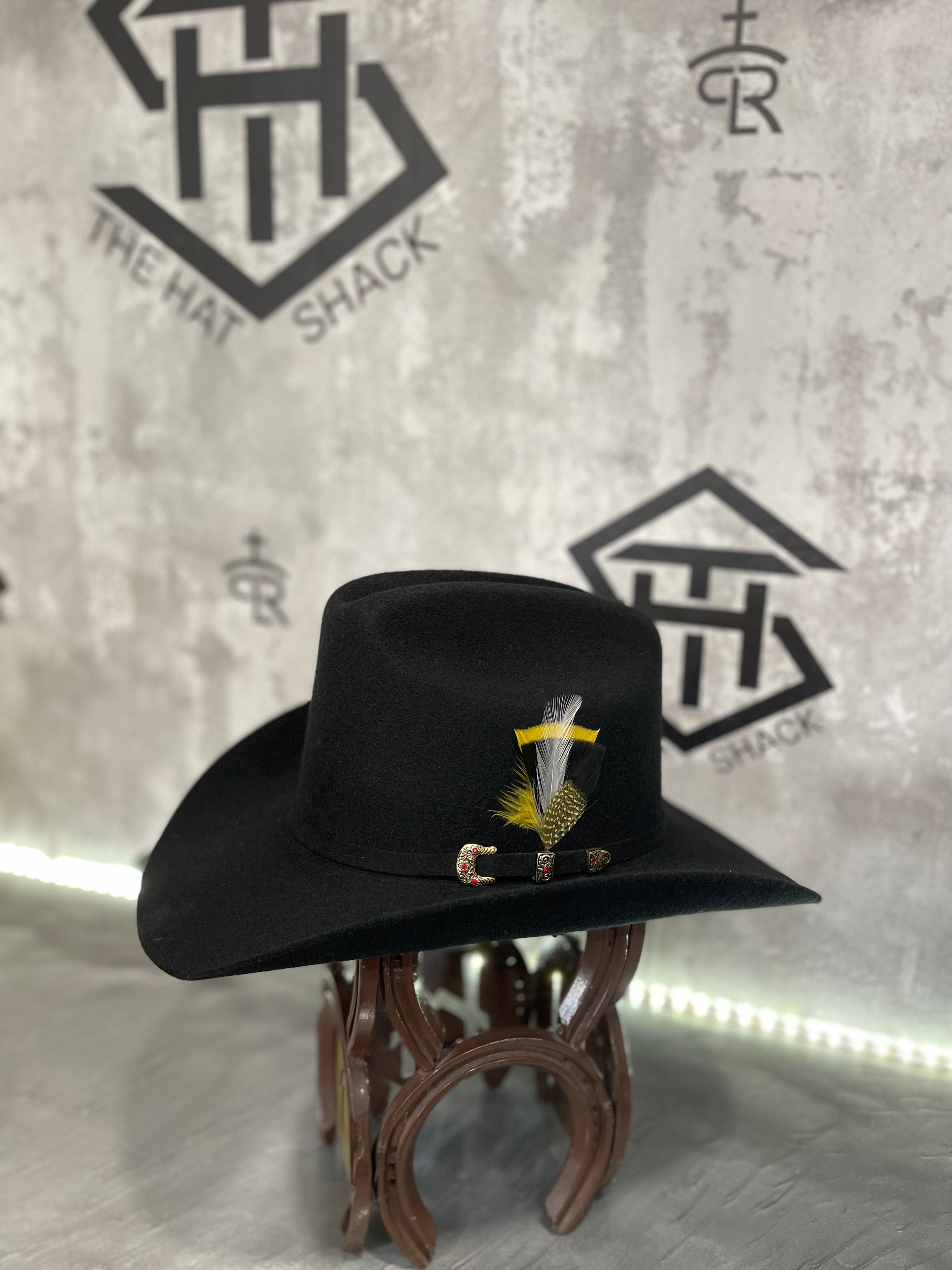 Colored Hat Feathers