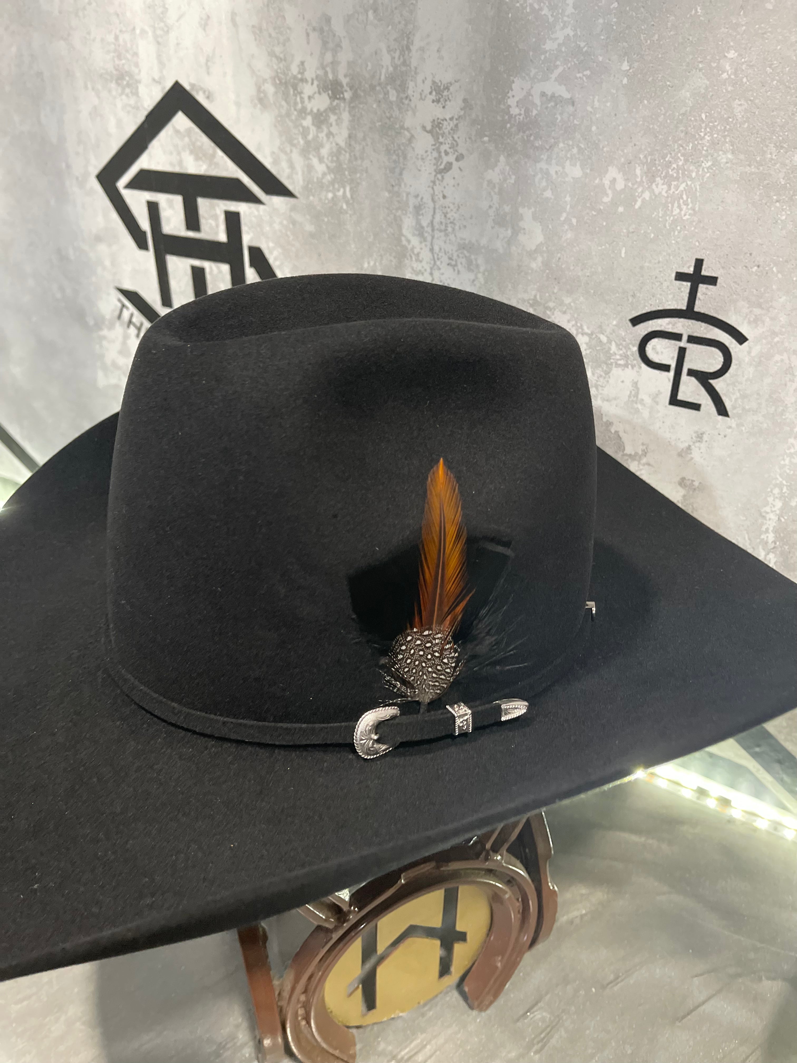 Colored Hat Feathers