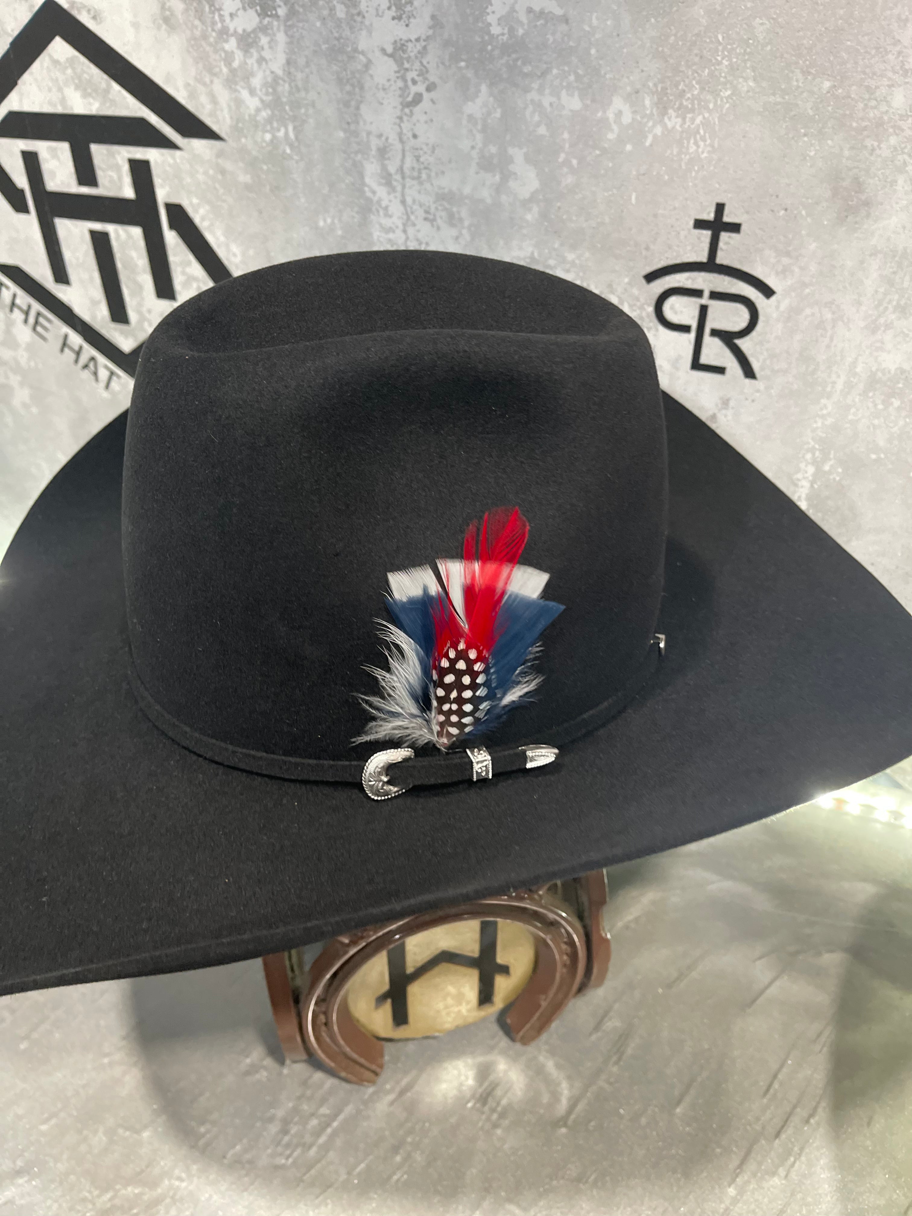 Colored Hat Feathers